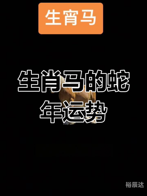 2019年特马生肖图-第2张图片