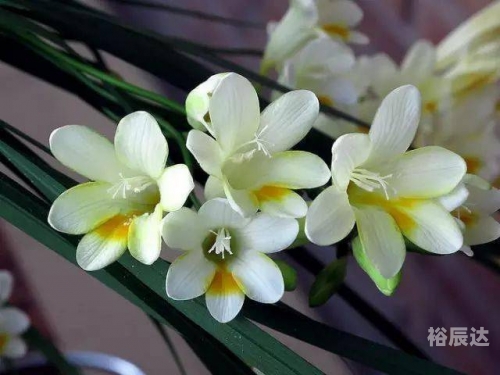 蓝姐平码论坛蓝姐平码论坛，探索数字时代的交流平台-第3张图片