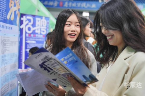 高校新人，初入职场的探索与成长