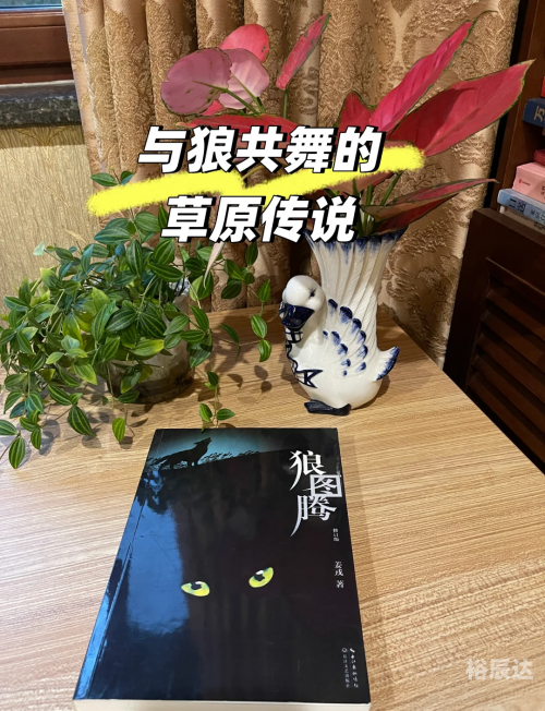 广西的狼精英论坛网广西狼精英论坛，探索狼性精神的卓越之地