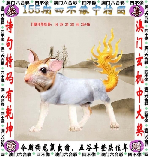 246天天好彩944开奖直播，彩市盛宴，好运连连-第2张图片