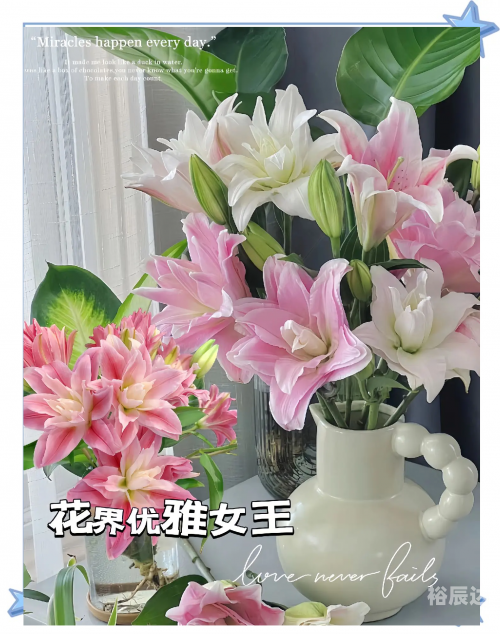 百合图库百合总站开奖结果查询结果5577tk百合图库，探索神秘百合之美-第2张图片