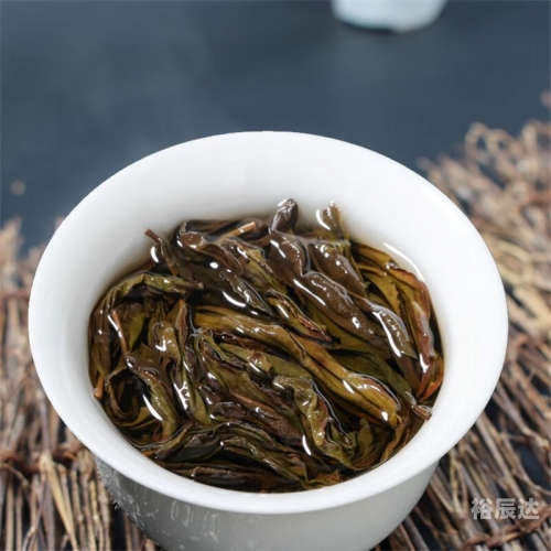 白芽奇兰，兰花中的珍品-第2张图片