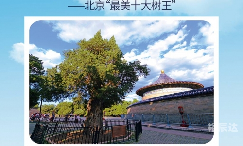 九龙坛寓意九龙二坛概述-第2张图片