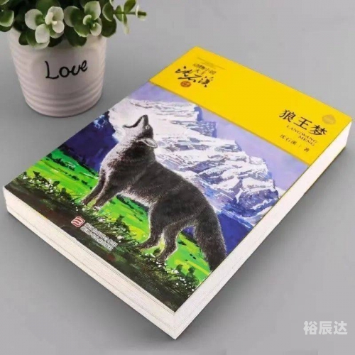狼王梦在线阅读狼王梦在线阅读-第2张图片