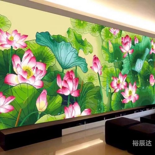 出水芙蓉是指什么意思出水芙蓉的含义-第3张图片