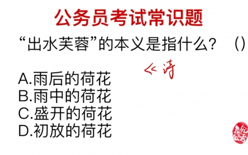 出水芙蓉是指什么意思出水芙蓉的含义-第2张图片