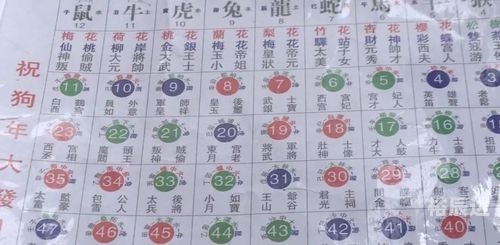 2024年天天彩全年免费资料大全-第1张图片