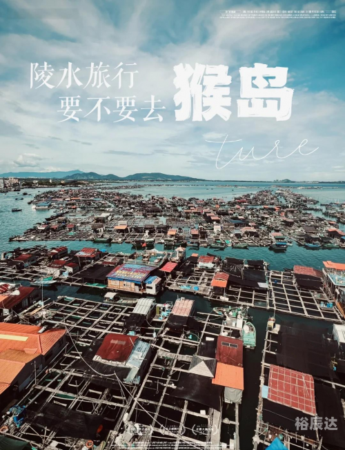 猴岛身份证猴岛身份证，探索神秘猴岛的独特身份证明-第1张图片