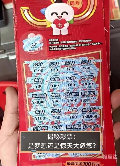 彩票查询结果揭秘