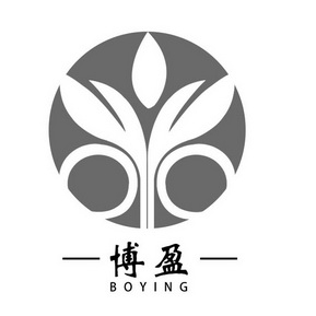 博盈娱乐，娱乐新风潮-第2张图片