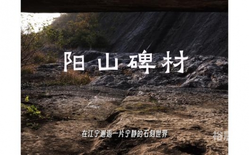 大红心水论坛，探索心灵交流的圣地-第3张图片