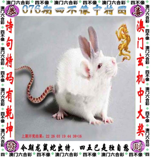 管家婆精准期期选一肖香港，智慧生活新篇章