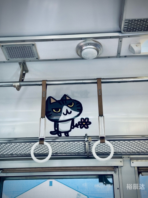 3d猫3D猫，神秘世界的萌宠-第2张图片