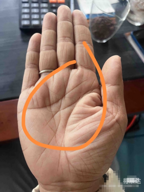 手相没有事业线 是不是事业不好手相没有事业线解析