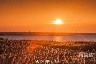 小鱼儿主页-第2张图片