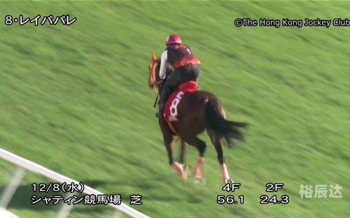 香港马现场开奖结果2021香港马现场开奖结果2021