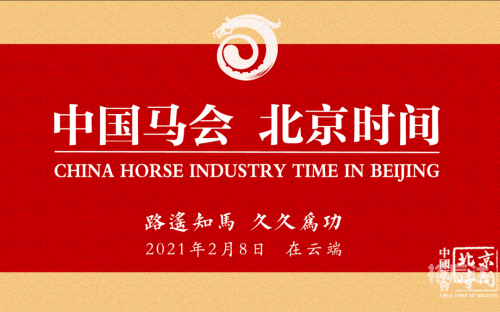 香港正版内部马会资料2021年香港马内部免费资料概览