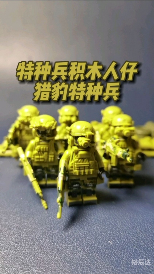 特种高手在都市-第2张图片