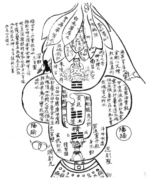 二四六玄机图料二四六免费玄机图，解锁神秘世界的秘密-第2张图片