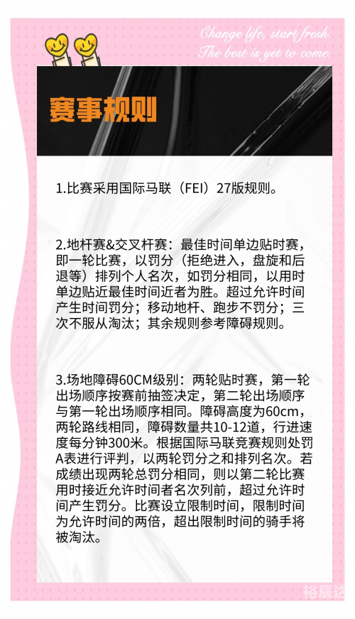 赛马论坛赛马论坛，探索马术运动的魅力与交流平台