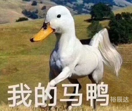 富婆点特图，奢华生活背后的秘密-第2张图片