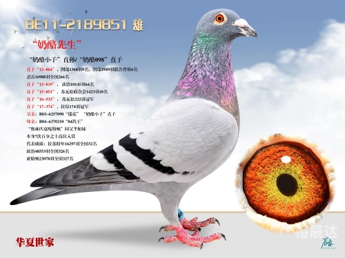 098足球免费直播098足球，精彩纷呈的竞技场-第2张图片