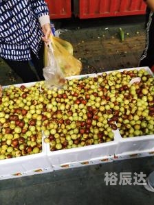 大版六合皇-第3张图片