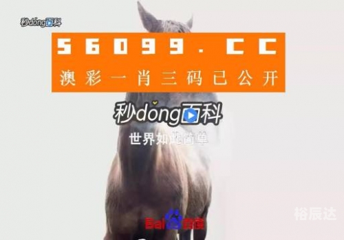 王中王一码一肖一特一中王中王一码一肖一特一中的故事