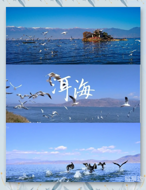 大理到丽江多少公里路大理到丽江的距离