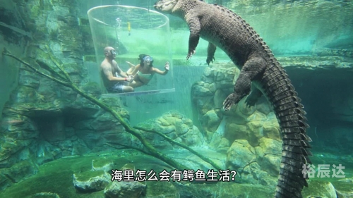 大海是猪大海是猪的世界-第2张图片