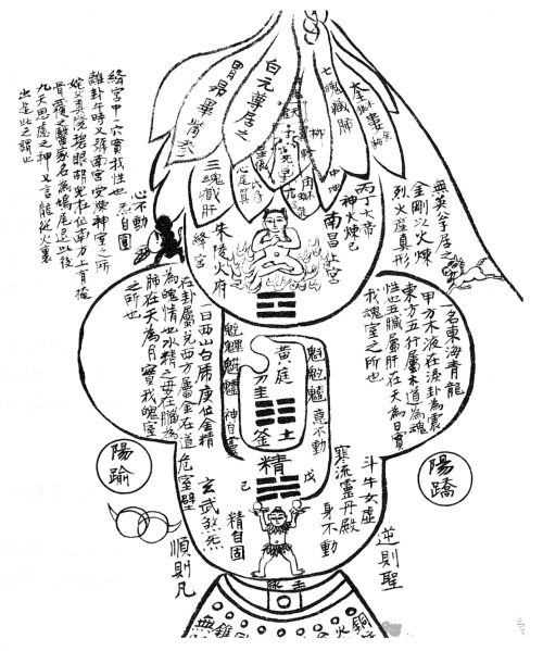 二四六免费玄机图，解锁神秘世界的秘密-第1张图片