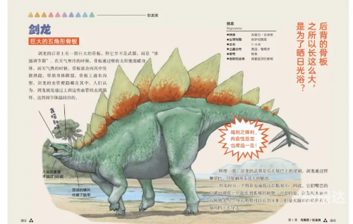顶叶兽顶叶兽，神秘生物的探索之旅
