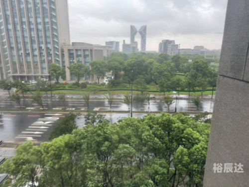 上海 台风上海遭遇台风，风雨中的城市之旅