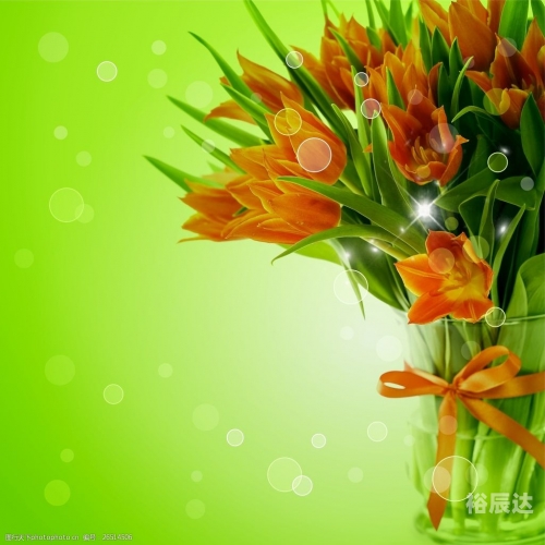 百合图库，艺术与美的交汇之地-第3张图片