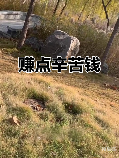 杀码平台杀码平台，风险与机遇并存
