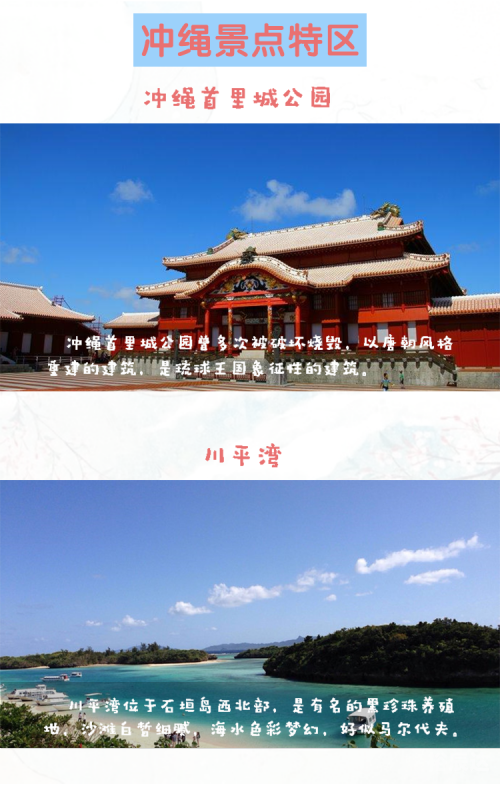 特区总站特区总站，开放与发展的前沿-第2张图片